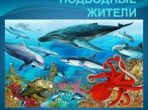 Презентация по экологии Подводные жители