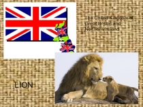 Презентация по английскому языку Животные в России 5 класс