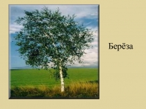 Презентация по русскому языку на тему Прилагательное (4 класс)