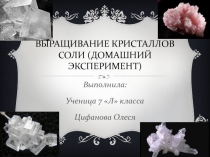 Презентация по химии на тему Выращивание кристаллов соли (7 класс)
