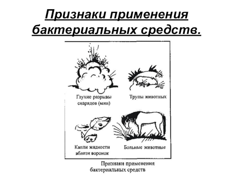 Признаки применения. Признаки применения бактериальных средств. Характерные признаки применения бактериальных средств. Схема «внешние признаки применения биологического оружия».. Способы применения бактериальных средств.