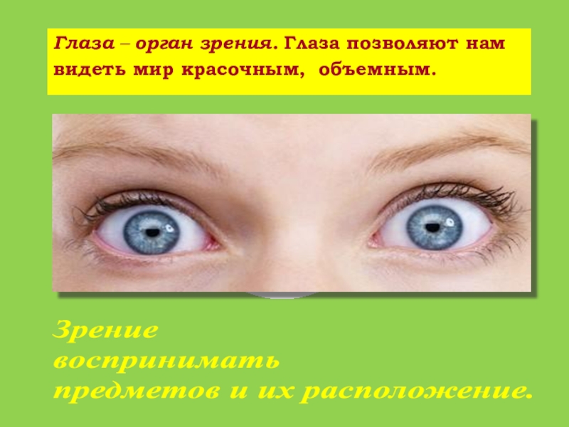 Чувствовать глазами. Глаза для презентации. Орган зрения окружающий мир 3 класс. Органы чувств глаза 3 класс. Органы чувств зрение 3 класс.