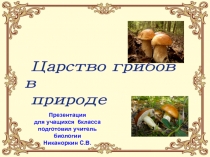Презентация по биологии на тему Царство грибов в природе(6класс)