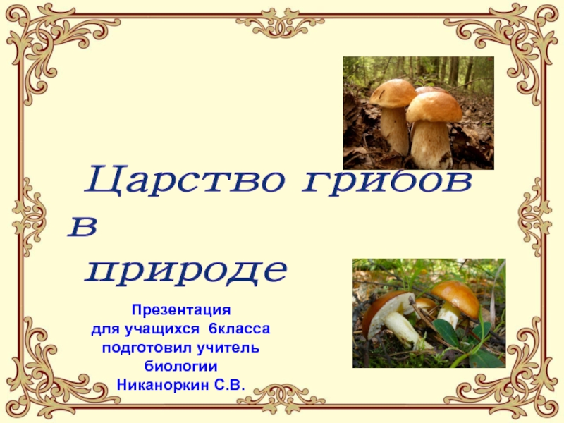 Презентация Презентация по биологии на тему Царство грибов в природе(6класс)