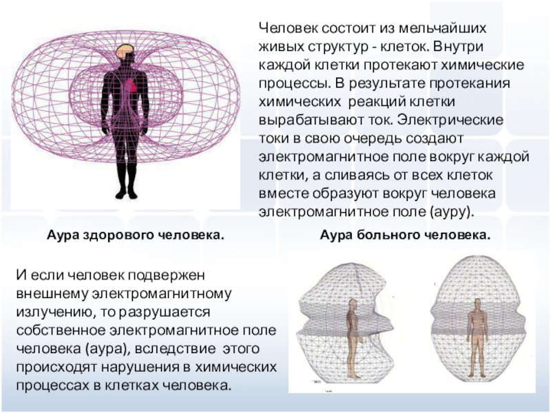 Живая структура