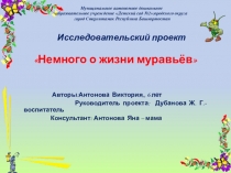 Презентация по познанию на тему Немного о жизни муравьёв