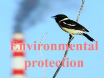 Environmental Protection