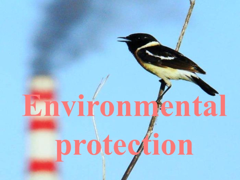 Доклад по теме Environmental protection 