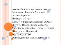 Помощь птицам