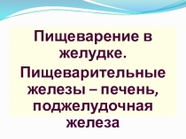 Пищеварение в желудке. Пищеварительные железы – печень, поджелудочная железа