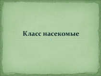 Презентация по биологии на тему класс насекомые (7 класс)