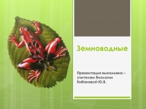 Презентация по биологии Земноводные 7 класс