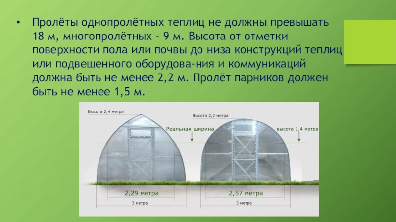 Бизнес проект на теплицу