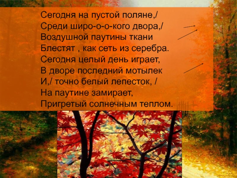 Сегодня целый день играет в траве последний. Бунин листопад. Бунин сегодня так светло кругом. И.А.Бунин сегодня на пустой Поляне.