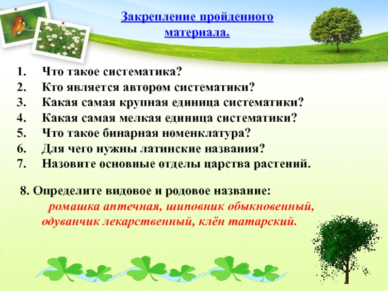 Что такое систематика. Систематика. Чтоитекое систематика. Кто является автором систематики. Чтотоакое систематика.