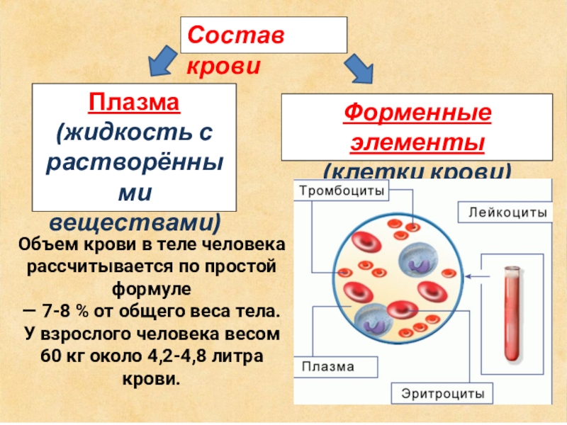 Снижение форменных элементов. Состав крови форменные элементы. Форменные элементы клетк. Кровь плазма и форменные элементы крови.