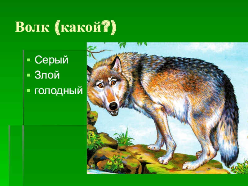 Волк имя существительное. Волк какой. Волк какая прилагательное. Волк какой прилагательные. Волк какой прилагательные для детей.