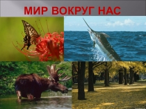 Мир вокруг нас