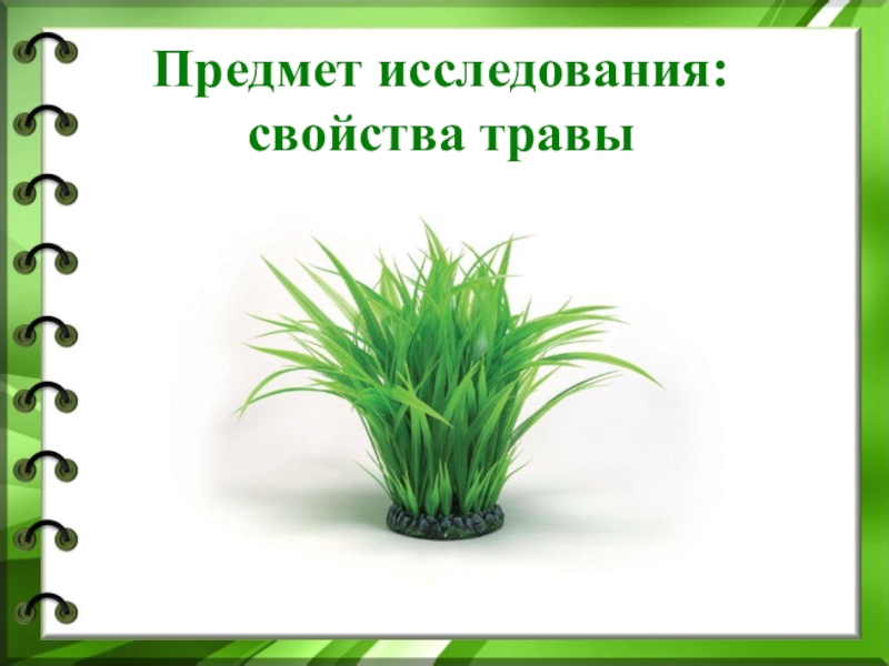 Почему трава. Почему растения зеленые. Почему трава зеленая. Почему трава зелёная проэкт. Исследовательский проект почему трава зеленая.