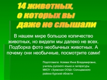 Презентация 14 фактов о животных
