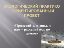 Экологический практико - ориентированный проект