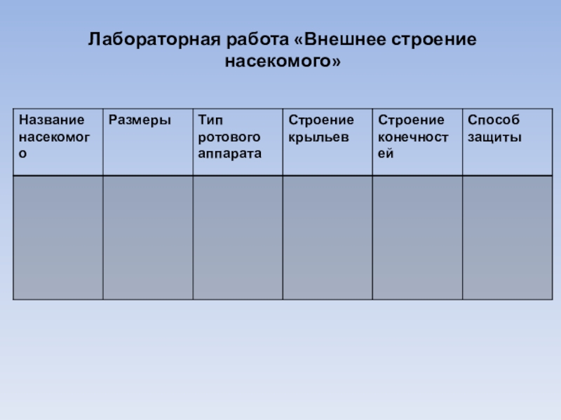 Лабораторная работа строение насекомых. Лабораторная работа насекомые. Лабораторная работа внешнее строение насекомого. Лабораторная работа класс насекомых.