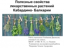 Презентация  Лекарственные растения