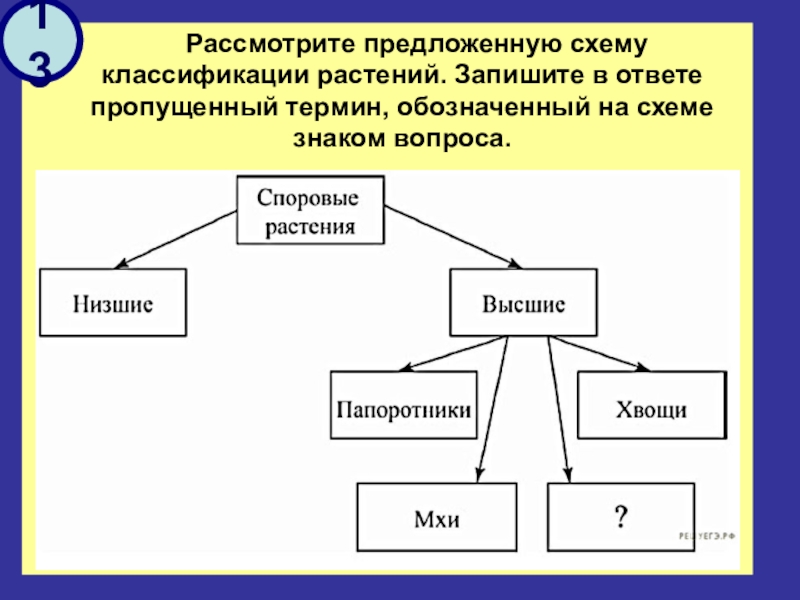 Пропускаю ответ. Рассмотрите предложенную схему. Запиши понятие, пропущенное в схеме. ￼. Рассмотрите предложенную схему классификации тканей человека.. Рассмотрите предложенную схему запишите схему.