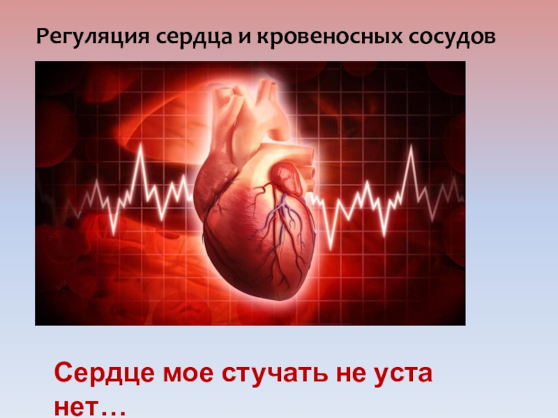 Физика работы сердца. Регуляция работы сердца. Работа сердца регуляция работы сердца. Регуляция деятельности сердца и сосудов. Механизмы регуляции сердца и сосудов.