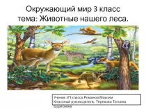 Презентация по окружающему миру на тему Животные леса.