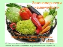 Презентация к уроку биологии Основы селекции. Работы Н.И. Вавилова