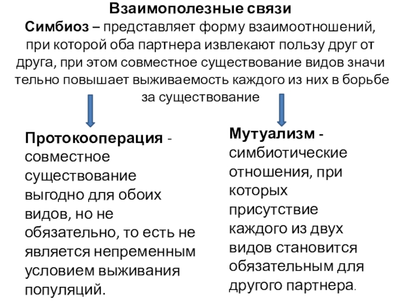 Взаимополезные связи  Симбиоз – представляет форму взаимоотношений, при которой оба партнера извлекают пользу друг