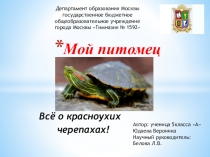 Презентация к проектной работе