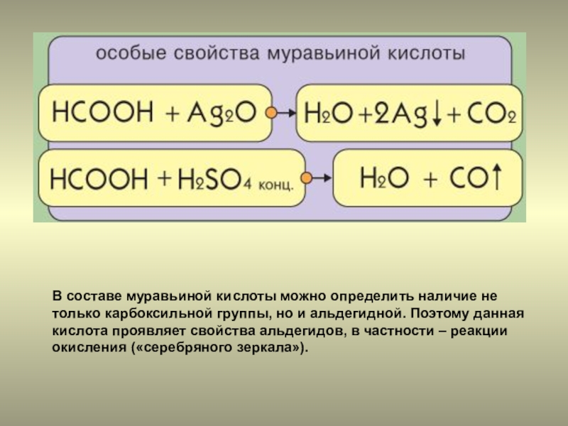 Презентация на тему муравьиная кислота