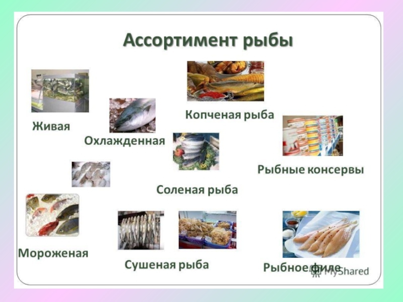 Рыбные продукты картинки для детей