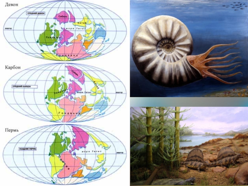 Этап палеозоя. Девон период палеозойской эры. Палеозой - периоды (Девон, карбон). Палеоген материки.