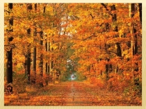 Презентация Весёлая ярмарка. 4 класс