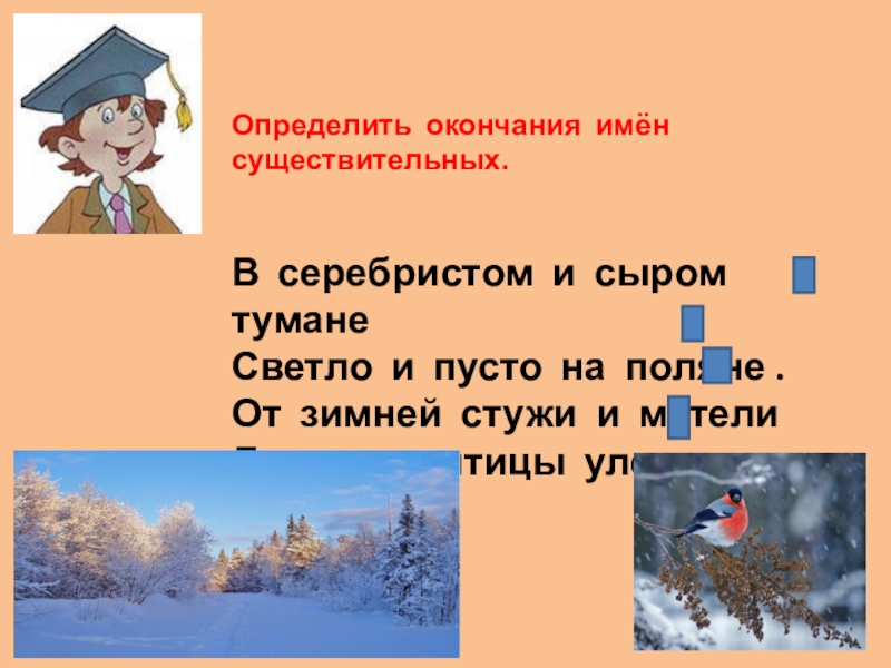 Понял окончание. В зимнюю стужу падеж. В серебристом и сыром тумане какой падеж. В серебристом и сыром тумане определить падежи. Туманы падеж.