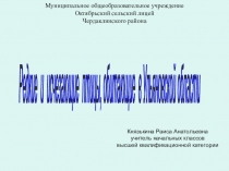Презентация по окружающему миру на тему Редкие и исчезающие птицы Ульяновской области