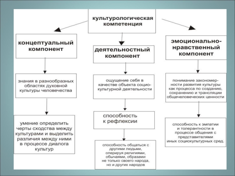 Схема культурологического знания