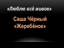 Презентация по литературе на тему Саша Черный Жеребенок