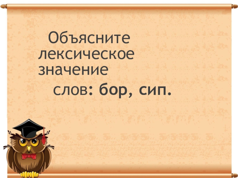 Запишите объяснение лексического значения слов. Определение слова Бор. Словобор что означает.