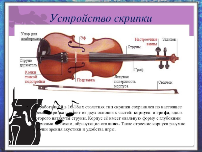 Скрипка номер 2 5. Строение скрипки Страдивари. Название частей скрипки. Скрипка схема. Элементы скрипки названия.