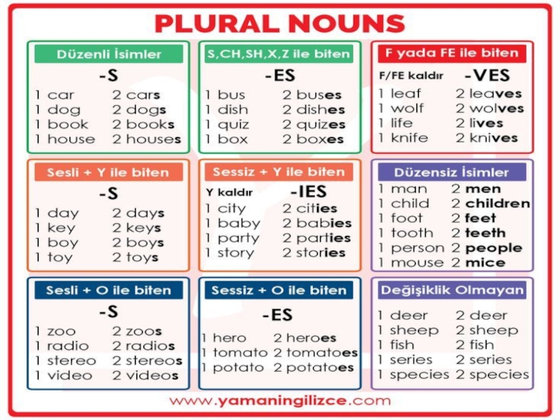 Презентация Plural and singular nouns and exceptions to the rules.