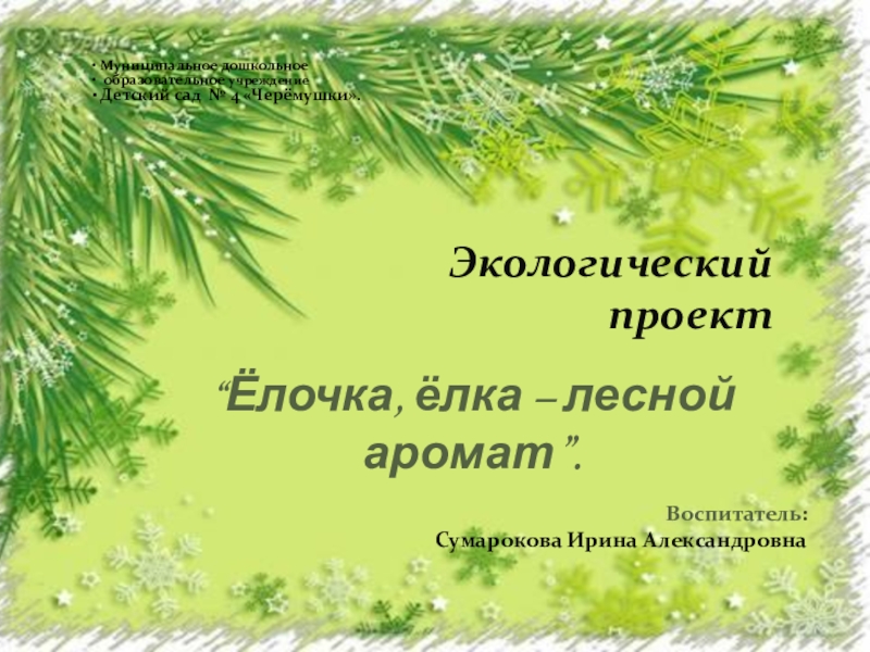 Презентация Презентация экологического проекта Ёлочка, ёлка - лесной аромат.