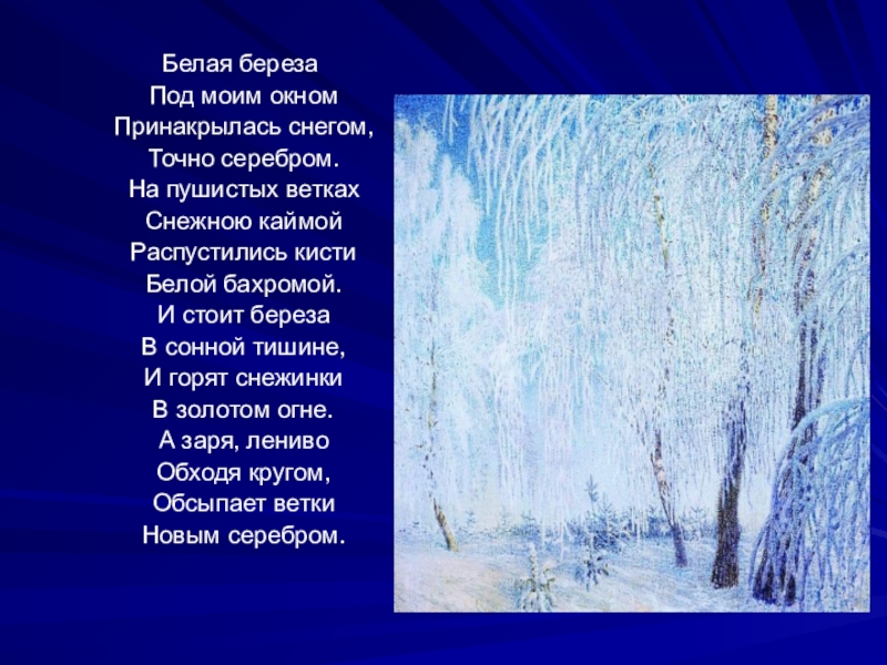 На пушистых ветках снежною каймой распустились кисти. Белая берёза под моим окном. Белая берёза под моим окном Принакрылась снегом. Распустились кисти белой бахромой. Белая береза под Мим окном.