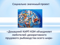 Социально значимый проект Домашний КАРП КОИ объединяет любителей декоративного прудового рыбоводства всего мира
