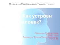 Презентация ученицы 3 класса на тему Как устроен человек?