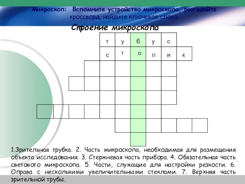 Чертеж устройства прибора 5 букв сканворд