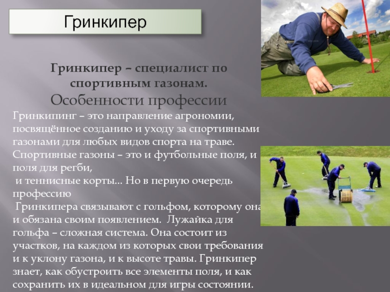 Проект в мире спортивных профессий 5 класс